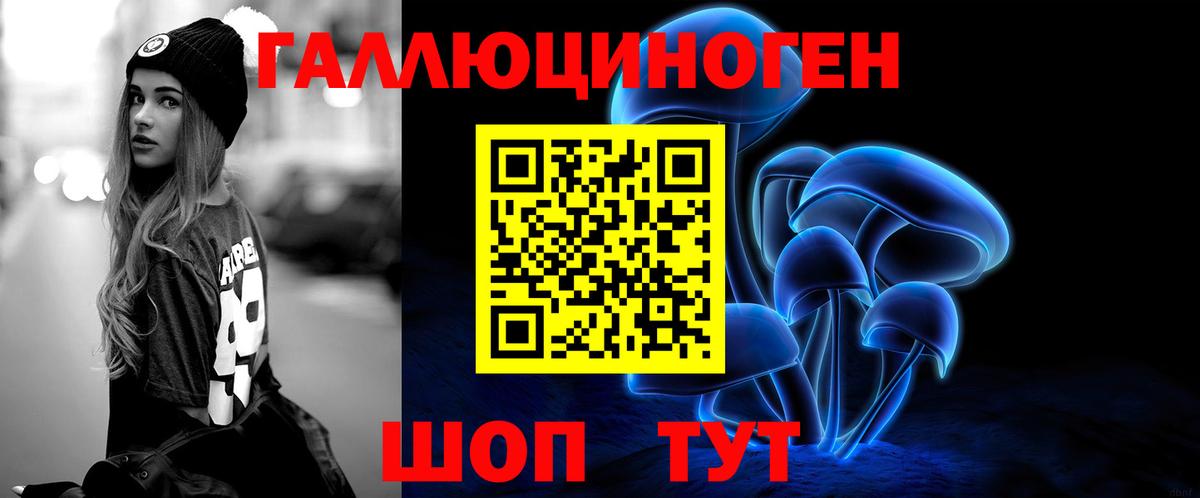 Галлюциногенные грибы Psilocybe  Псилоцибиновые грибы прущие грибы  где найти   Вход с VPN  Кольчугино 
